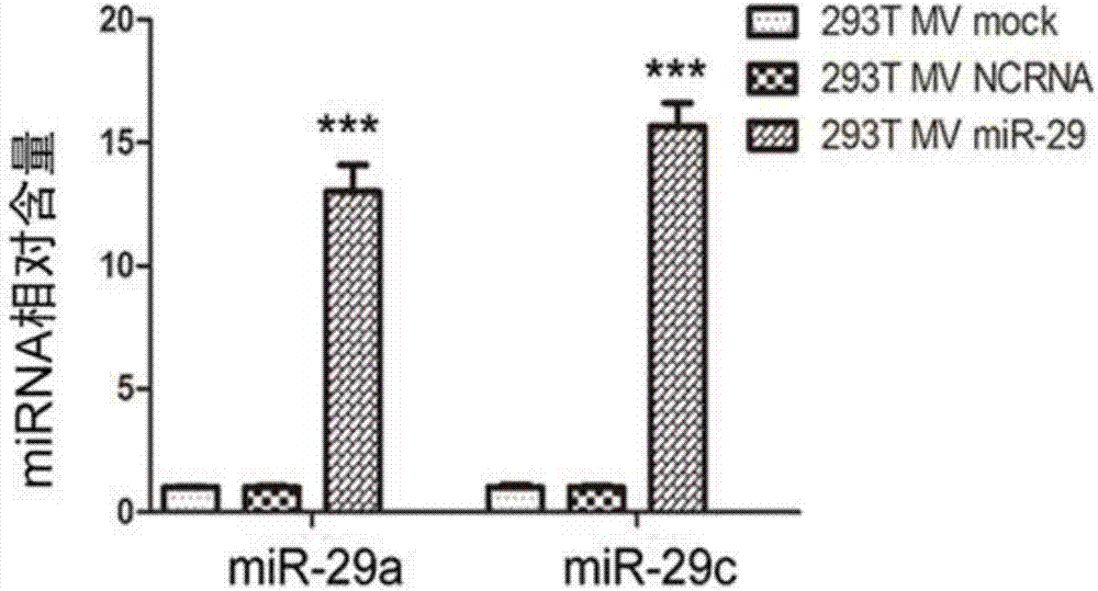 Method for inhibiting gastric cancer angiogenesis by using micro vesicles as miRNA (Micro Ribonucleic Acid) transport carriers