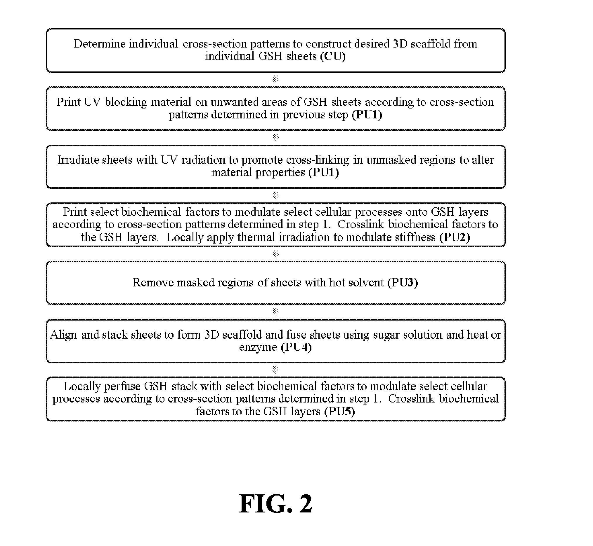 Methods and Apparatus for Building Complex 3D Scaffolds and Biomimetic Scaffolds Built Therefrom