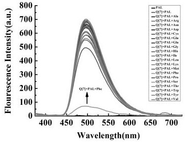 A kind of identification method of l-phenylalanine