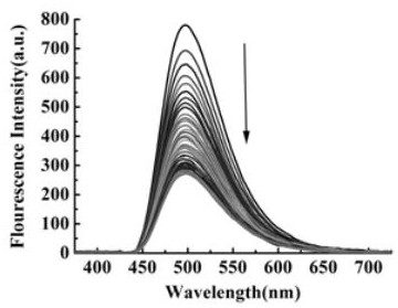 A kind of identification method of l-phenylalanine