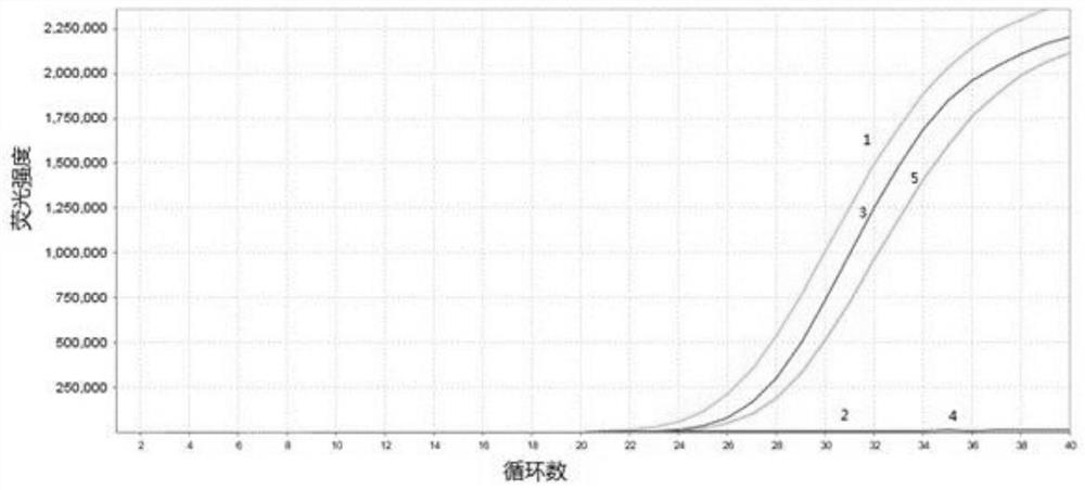 Real-time fluorescent RT-PCR detection method and kit for Mycobacterium tuberculosis 85b mRNA