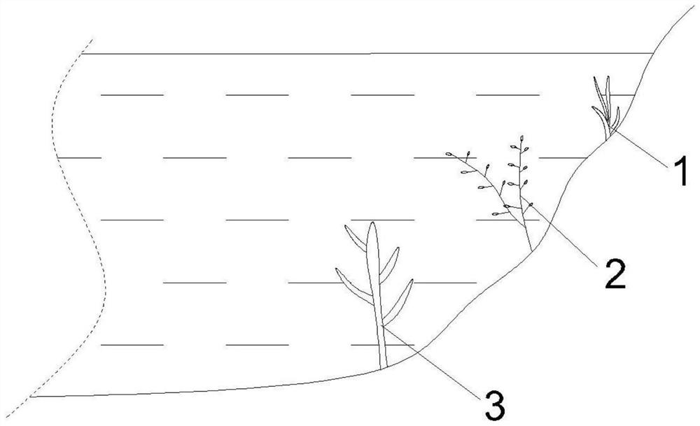 Method for reconstructing eutrophic water body ecological system