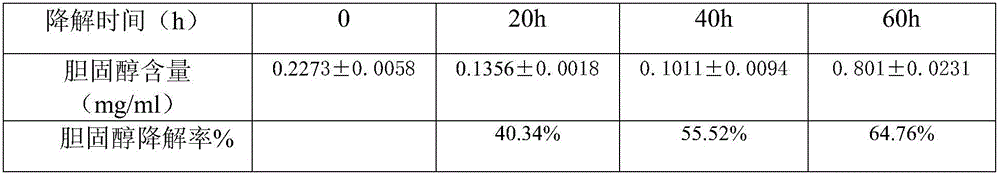 Flavored dry white wine and preparation method thereof