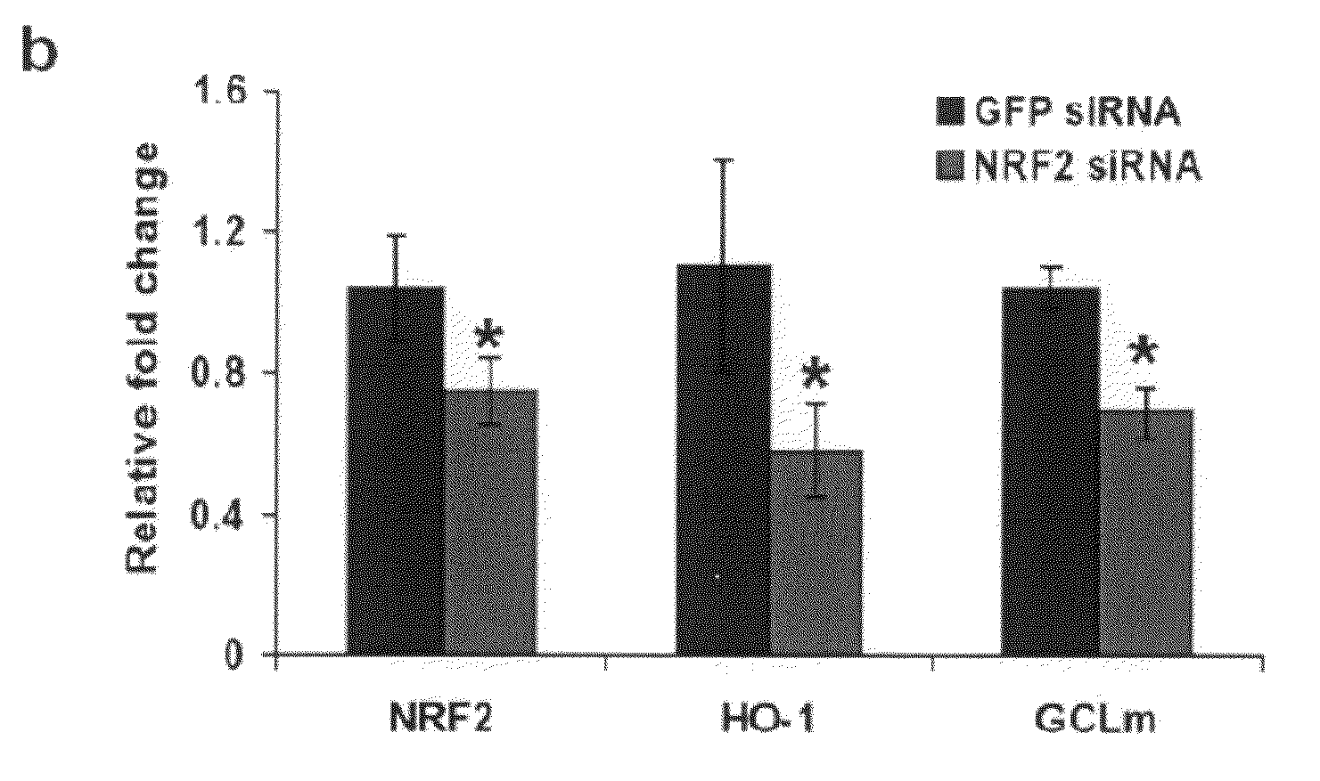 Oligoribonucleotide inhibitors of NRF2 and methods of use thereof for treatment of cancer