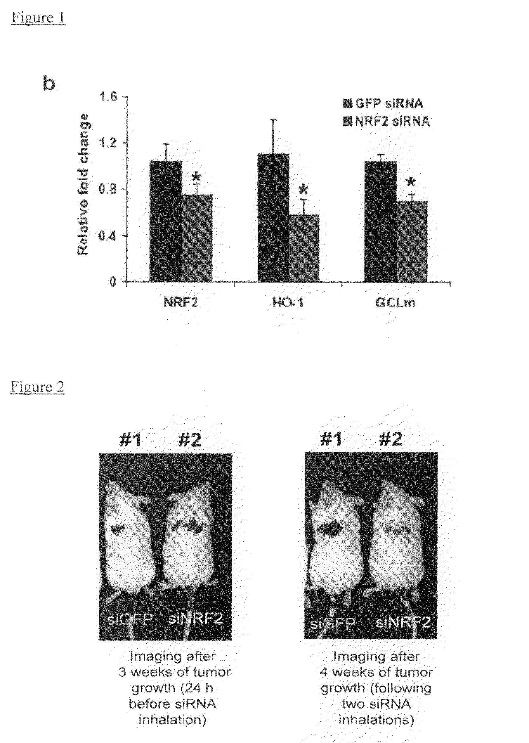 Oligoribonucleotide inhibitors of NRF2 and methods of use thereof for treatment of cancer