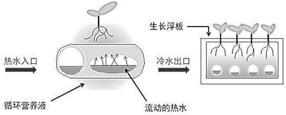 Heat storage-heat supply system and its application in hydroponics