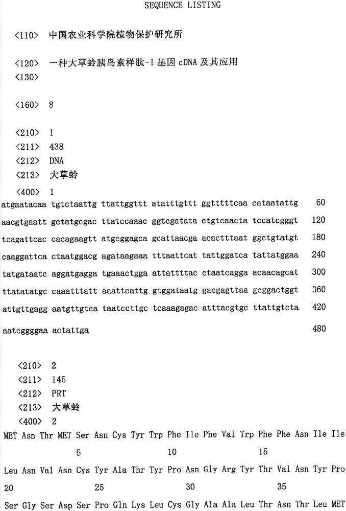 Chrysopa septempunctate insulin-like peptide-1 gene cDNA and application thereof