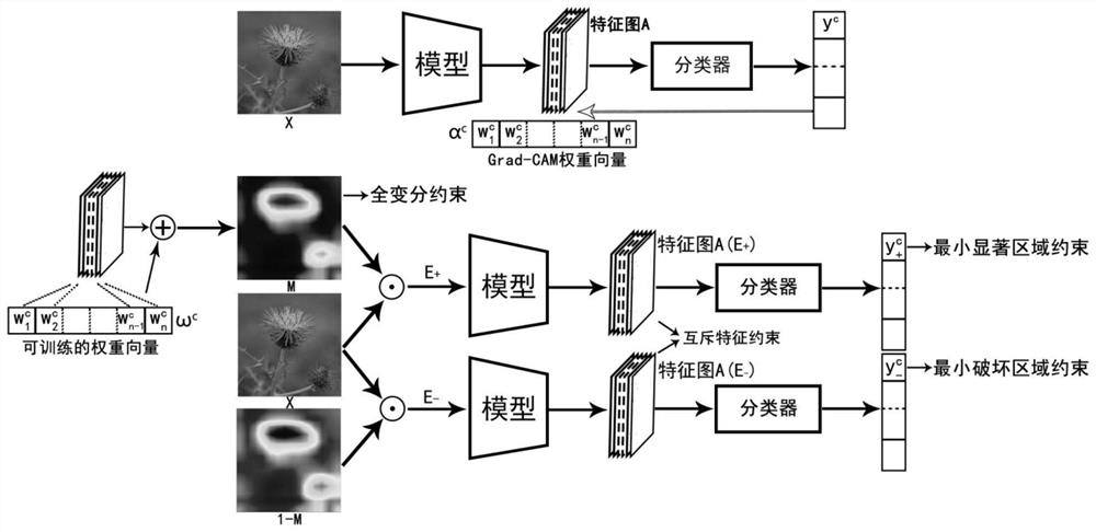 Deep neural network feature visualization method for constrained optimization class activation mapping