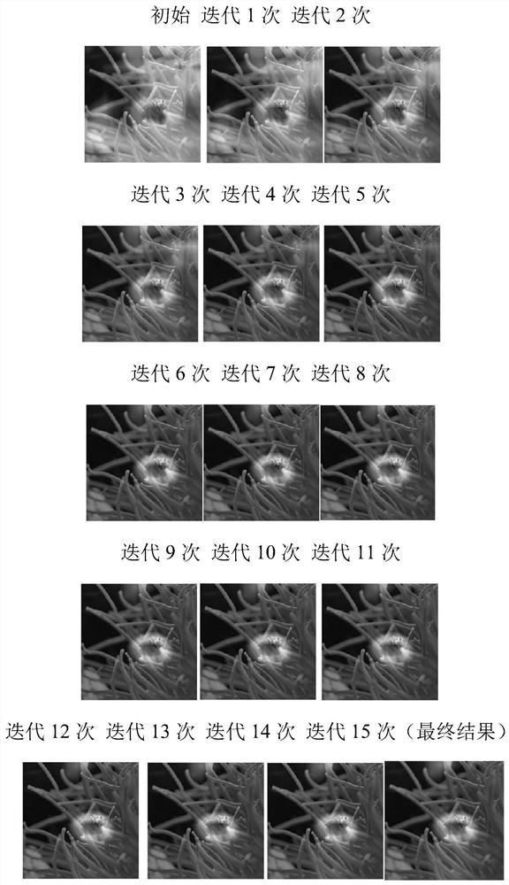 Deep neural network feature visualization method for constrained optimization class activation mapping