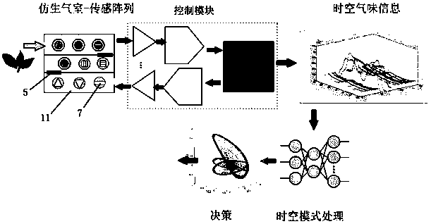 A bionic detection device and method for temporal and air odor information of an electronic nose