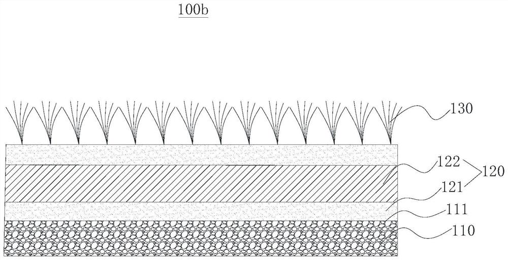 Mixed grass walking lawn and method of making same