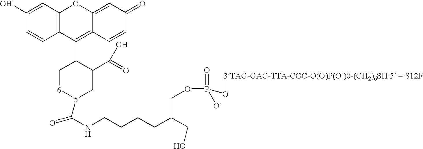 Nanoparticles having oligonucleotides attached thereto and uses therefor