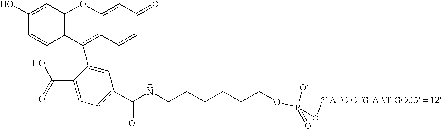 Nanoparticles having oligonucleotides attached thereto and uses therefor