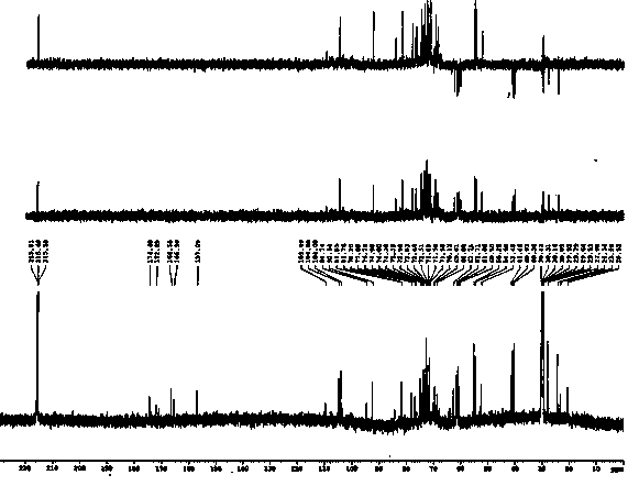 Preparation method and application of physiologically active notoginseng polysaccharide