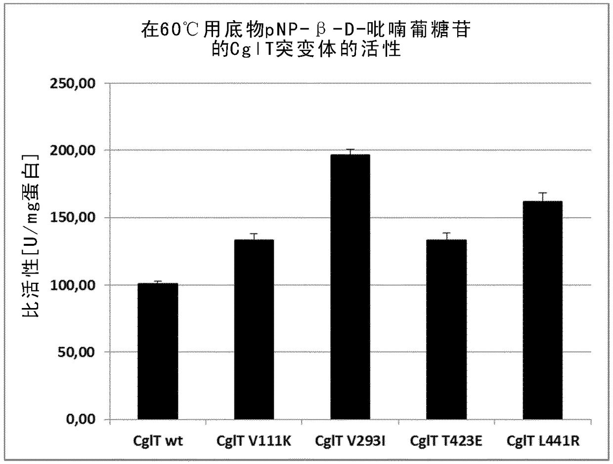 Mutant beta-glucosidase variants with increased thermostability