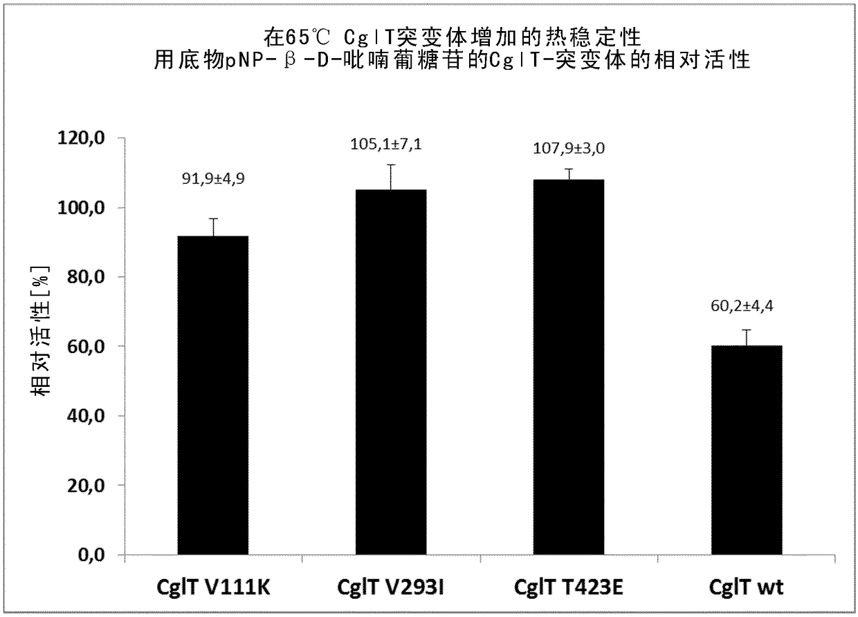 Mutant beta-glucosidase variants with increased thermostability