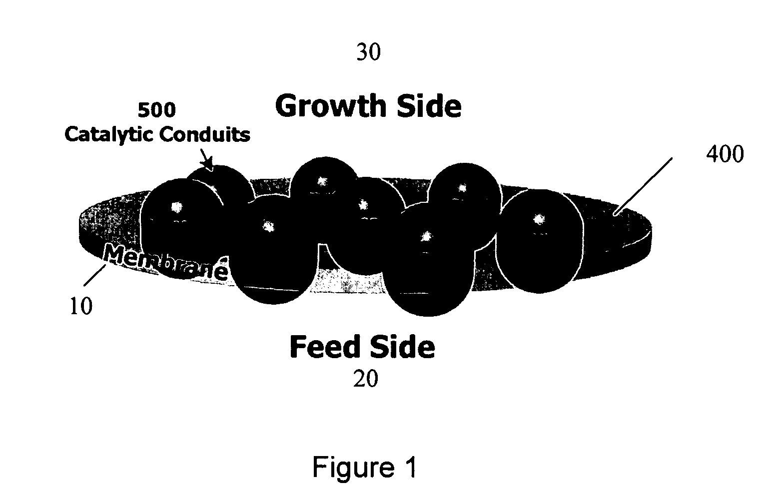 Membrane separation of feed and growth environments in carbon nanostructure growth