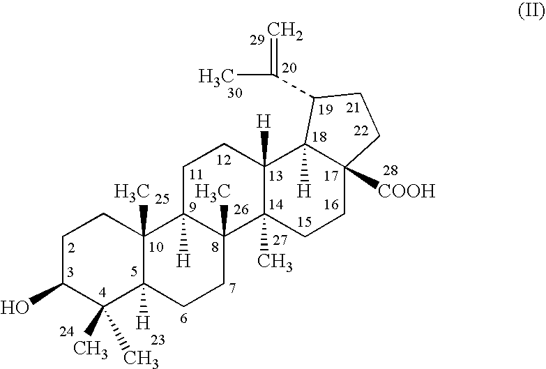 Novel Betulinic Acid Derivatives