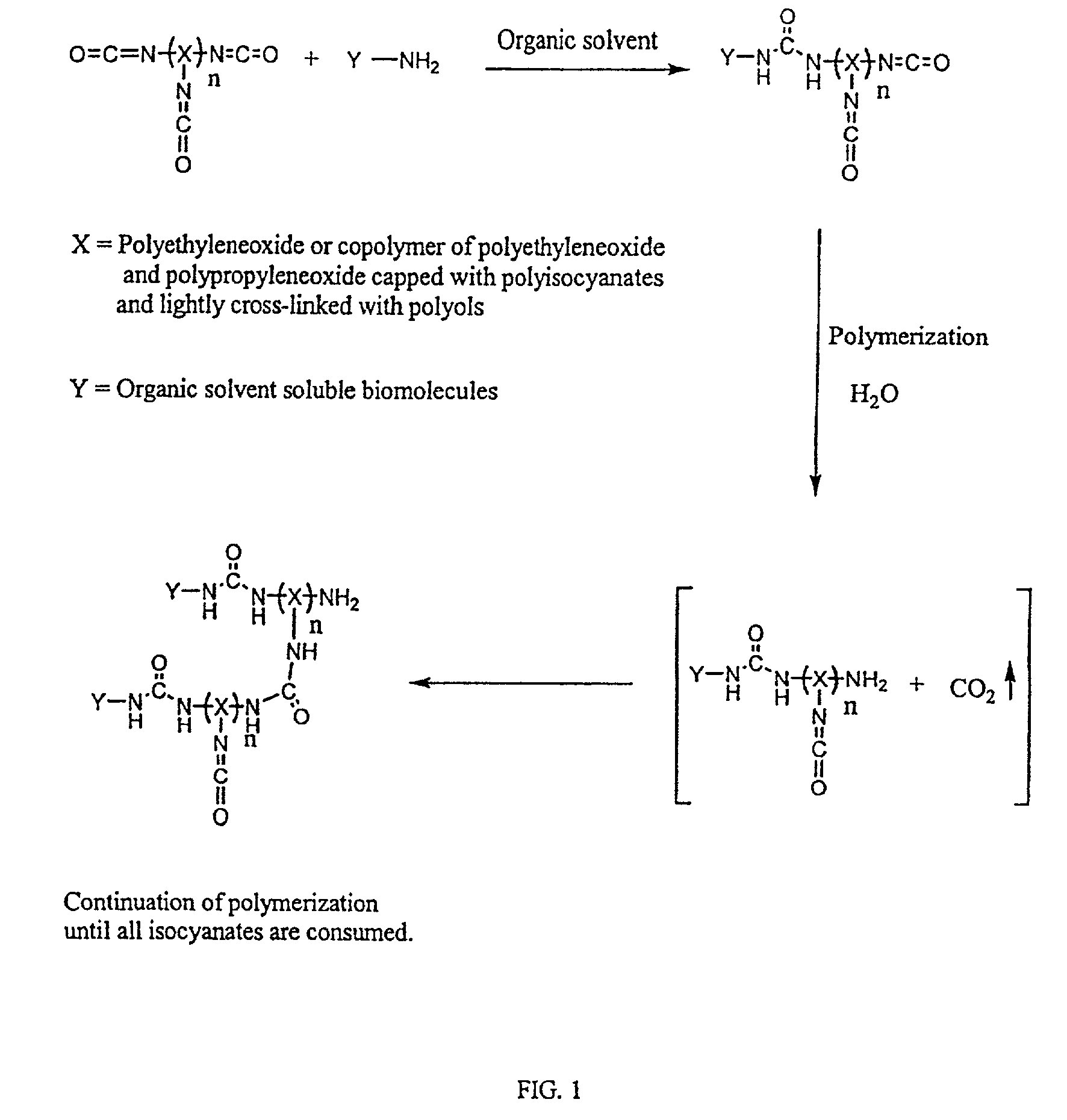 Three dimensional format biochips