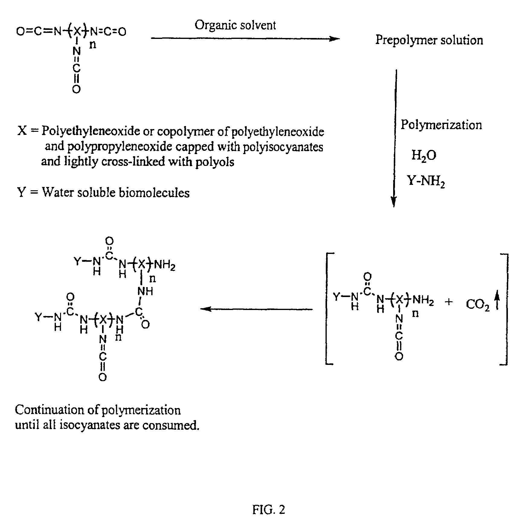 Three dimensional format biochips