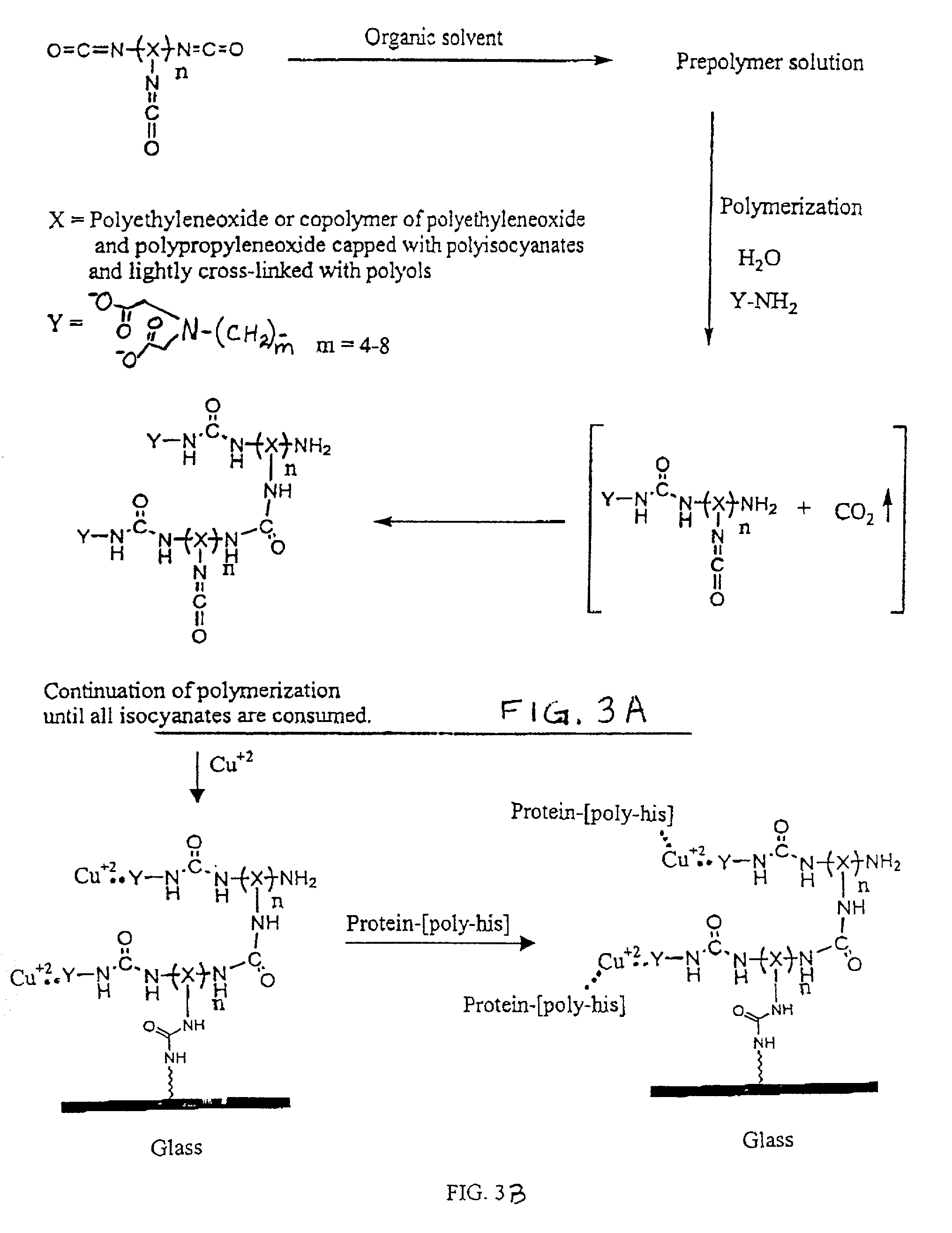 Three dimensional format biochips