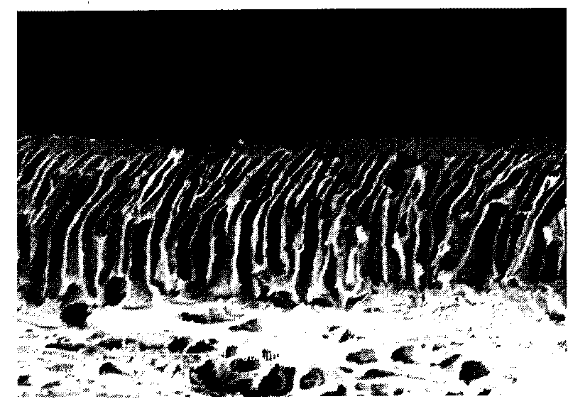 Method for preparing CO2 separation membrane material and composite membrane