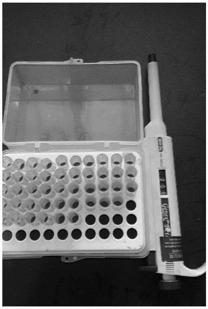 Accurate, quick and noninvasive method for instilling medicine into rat