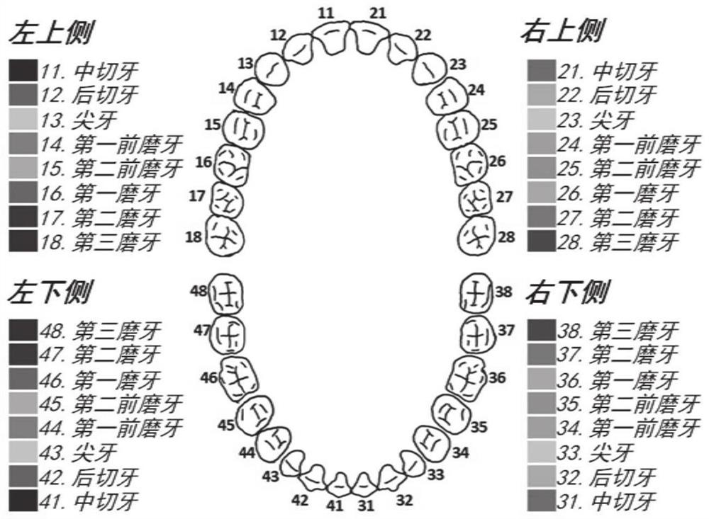 Three-dimensional tooth point cloud model data classification method and system based on deep learning