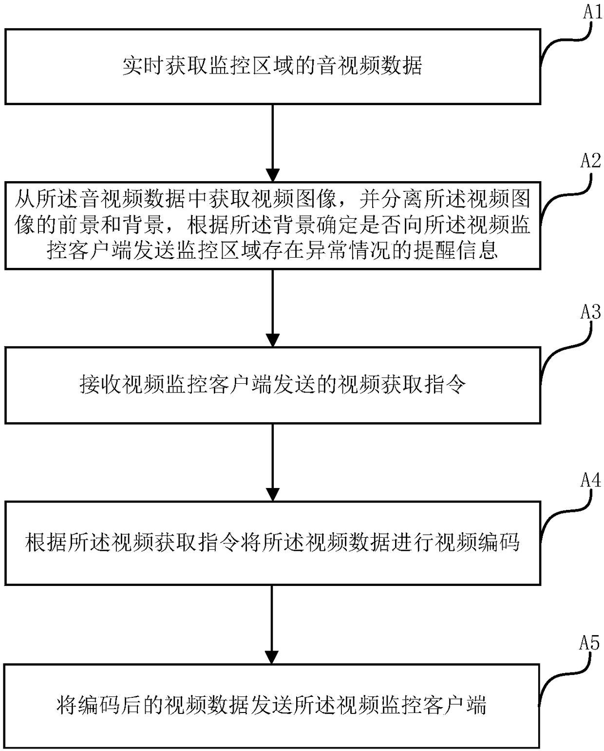 Video monitoring server, system and method