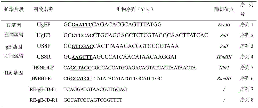 Establishment method and application of H9 subtype avian influenza recombined duck enteritis virus rDEVdeltagE-H9 strain