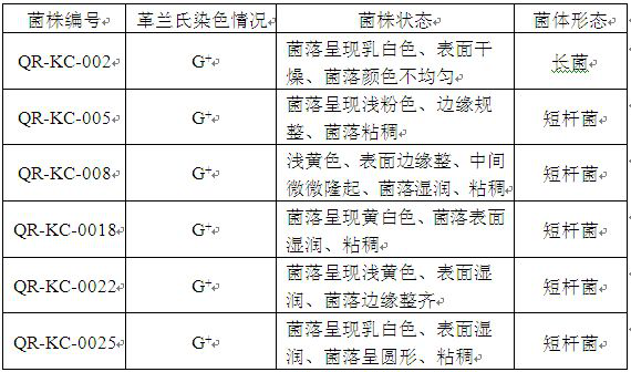 Preparation process of bacteriostatic bacillus subtilis microecological preparation