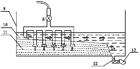 Device and method for collecting urechis unicinctus fry