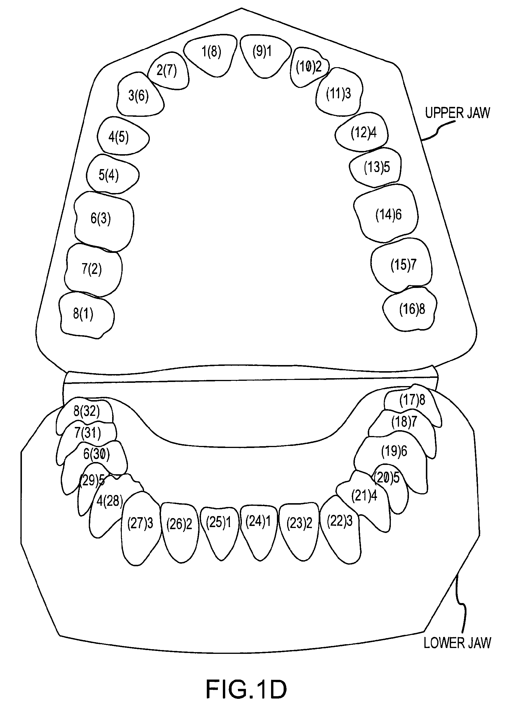 System and method for automatic construction of tooth axes