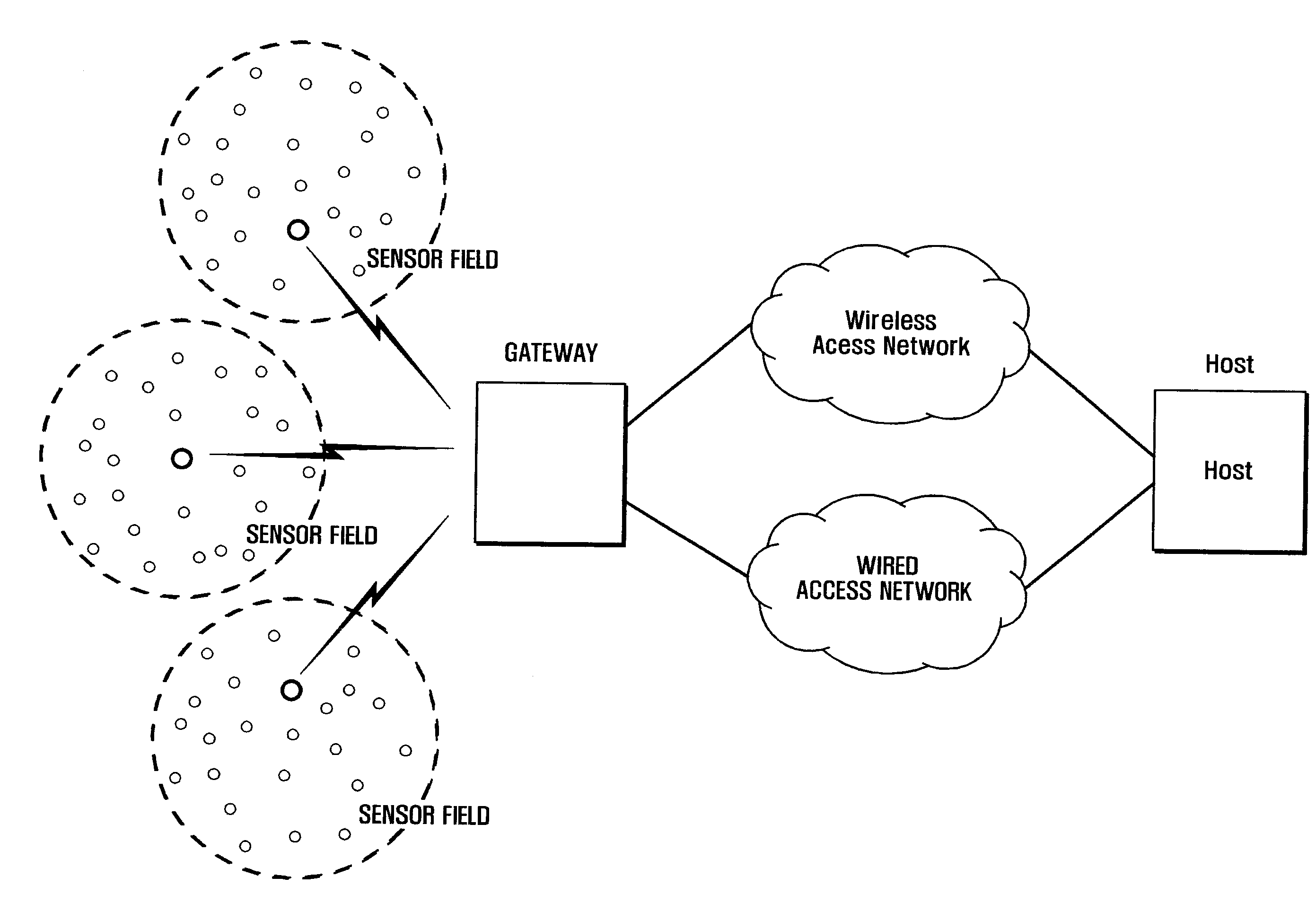 Wireless sensor network and management method for the same