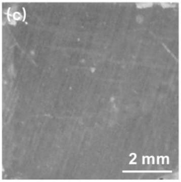 Photoelectrochemical anti-corrosion protection composite photo-anode and preparation method and application of photoelectrochemical anti-corrosion protection composite photo-anode