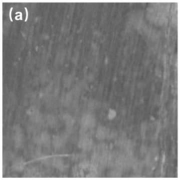 Photoelectrochemical anti-corrosion protection composite photo-anode and preparation method and application of photoelectrochemical anti-corrosion protection composite photo-anode