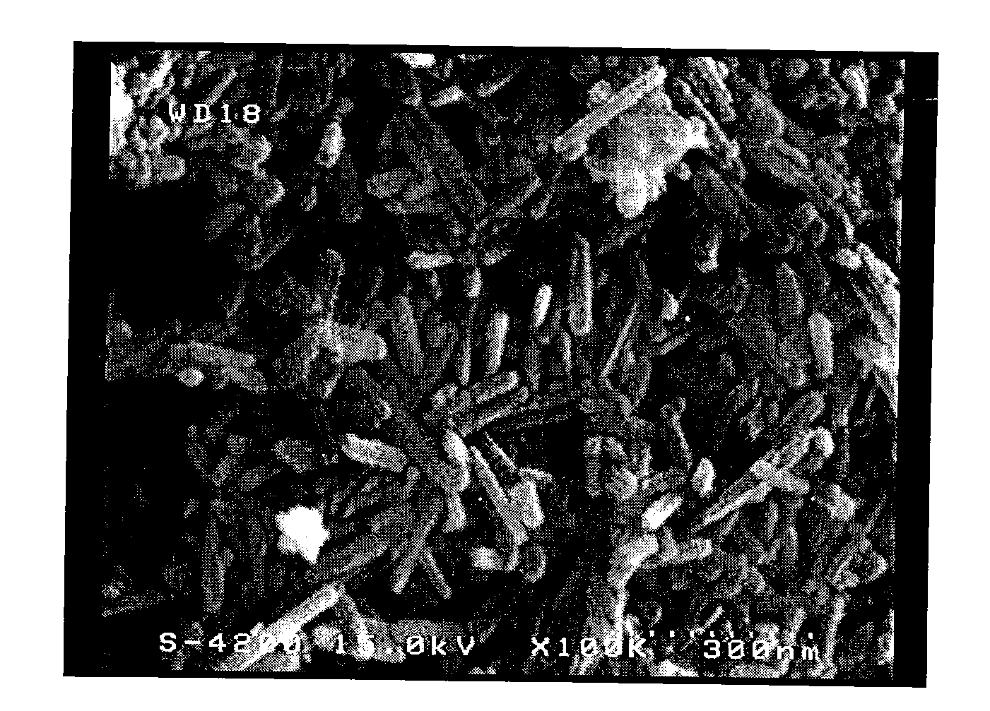 Composite material with conductive and ferromagnetic properties and hybrid slurry