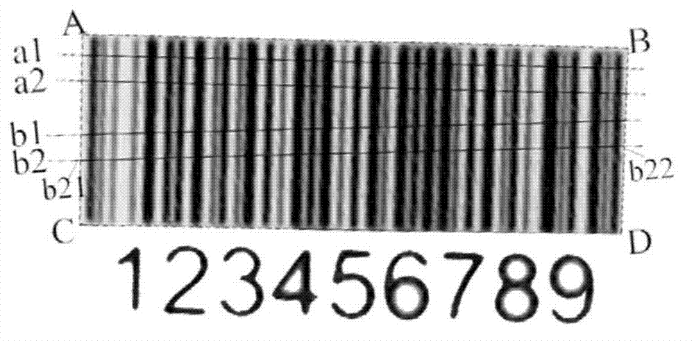 One-dimensional barcode identification method based on image sampling line grey scale information analysis