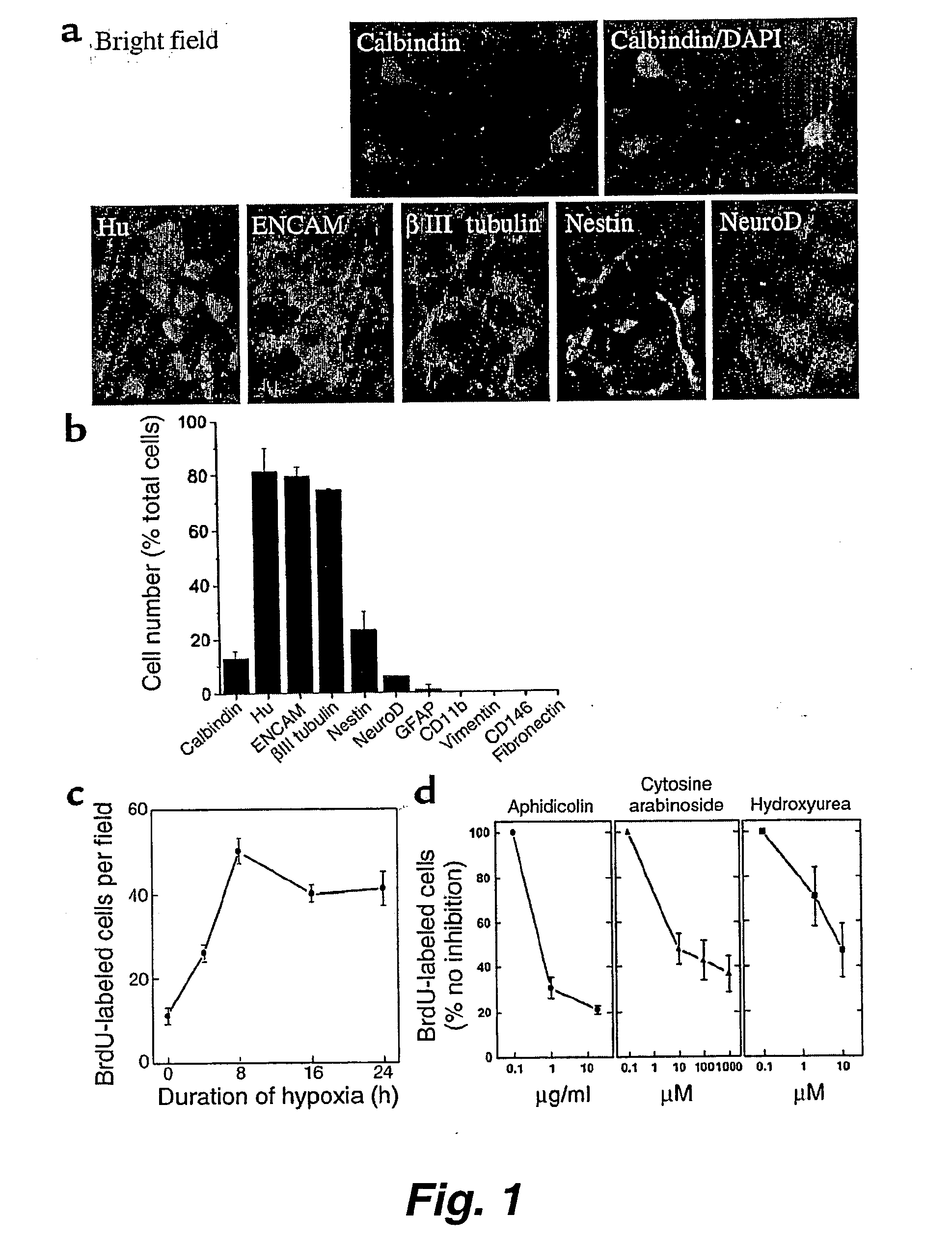 Neurogenerative or neurotrophic factors for mitigating a symptom of ischemia