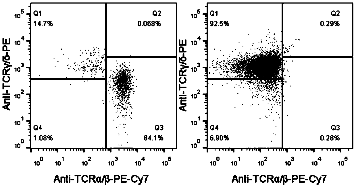 A method of producing chimeric antigen receptor modified gamma delta t cells