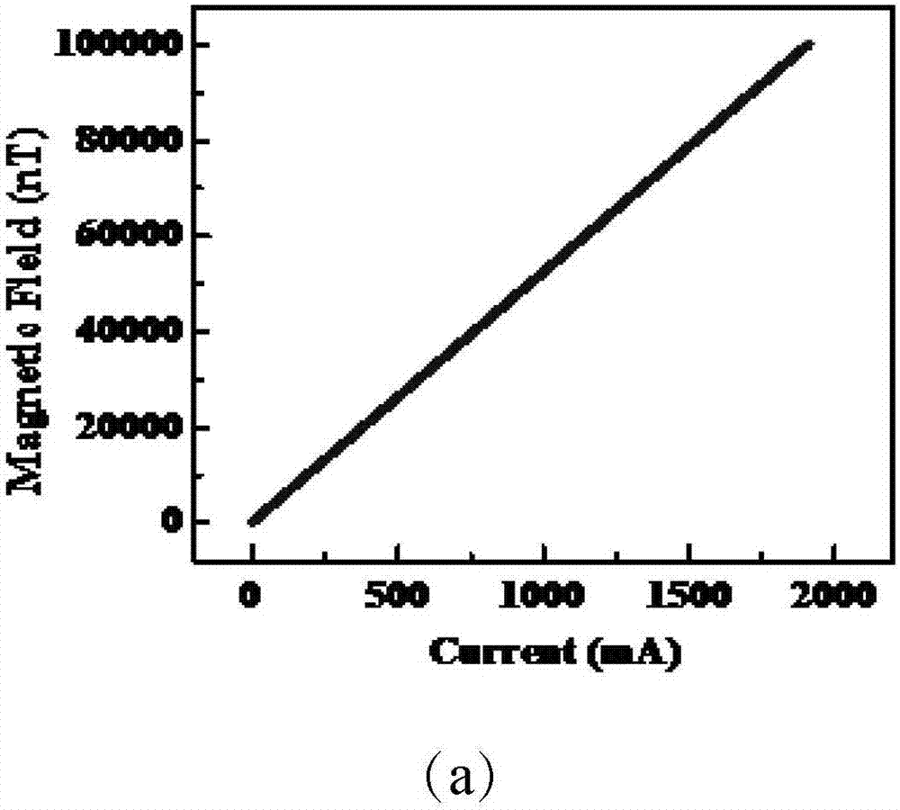 Rubidium atomic magnetometer and magnetic field measuring method thereof