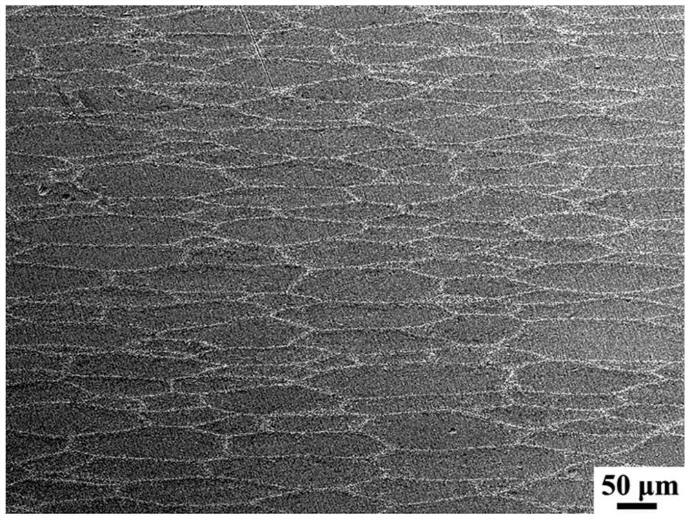 Method for preparing Ti2AlNb-based composite material of imitated shell laminated structure by combining powder metallurgy and forging