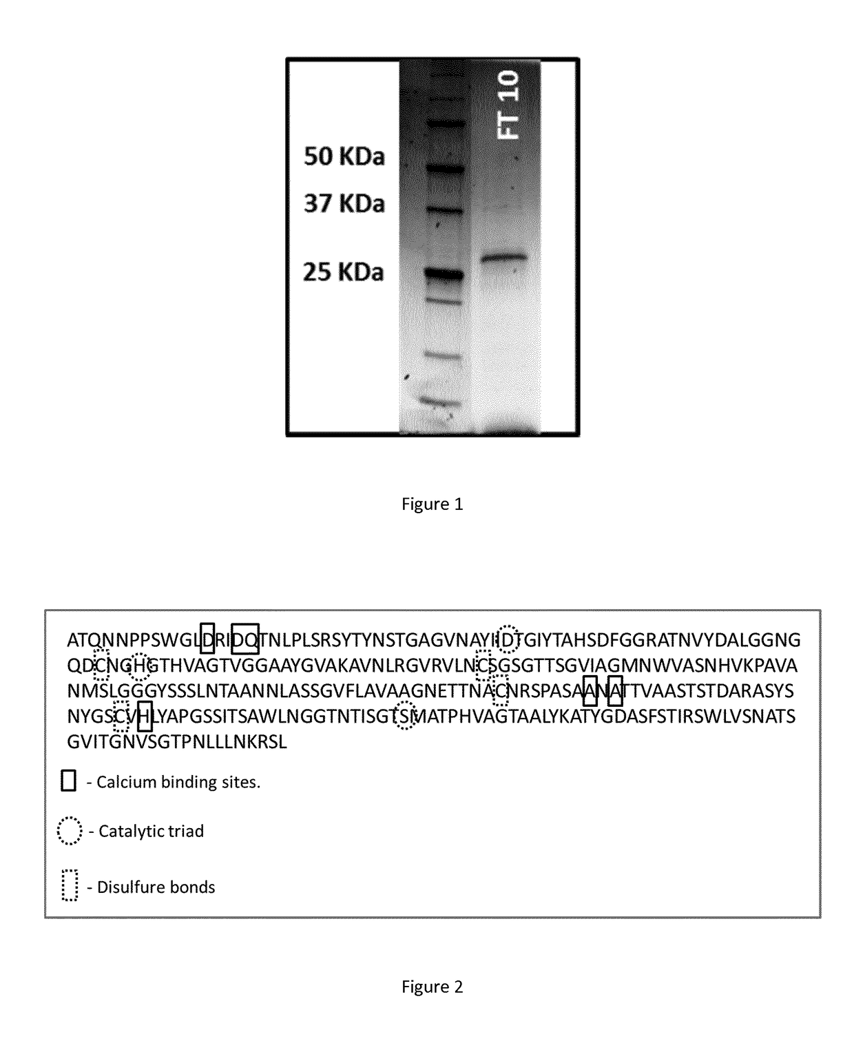 Polypeptide having a polyester degrading activity and uses thereof