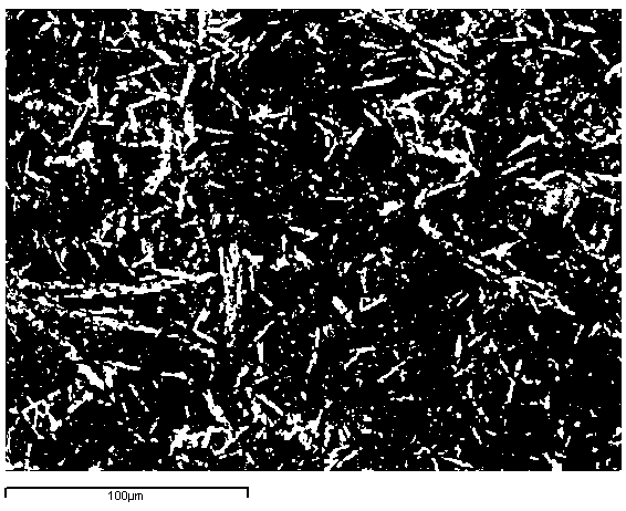 Aluminum borate whisker reinforced zinc-based alloy composite material and preparation method thereof