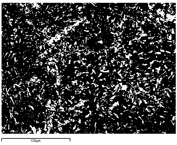 Aluminum borate whisker reinforced zinc-based alloy composite material and preparation method thereof