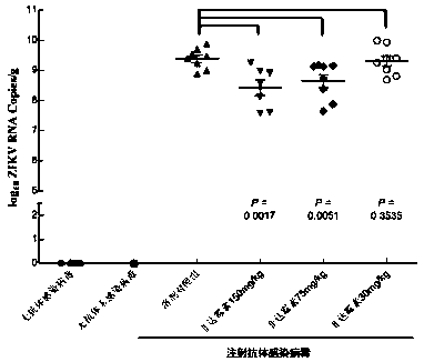 Application of Fidaxomicin in preparation of medicines treating related diseases and/or symptoms caused by Zika virus infection