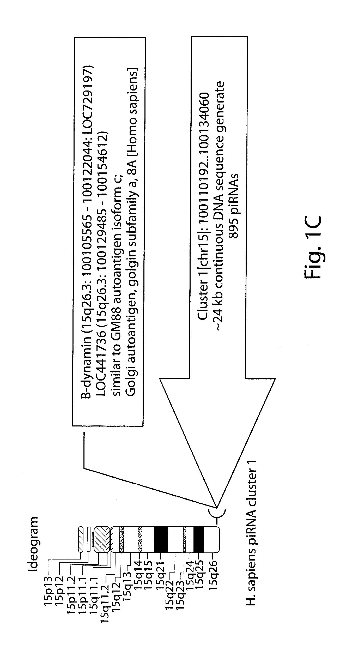 Methods for Disease Therapy