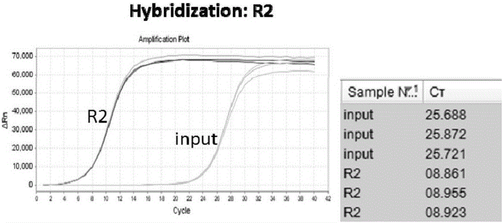 Hybrid capture kit and method for detecting mutation of breast cancer susceptibility genes BRCA1 and BRCA2