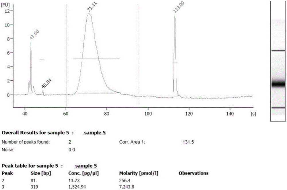 Hybrid capture kit and method for detecting mutation of breast cancer susceptibility genes BRCA1 and BRCA2