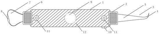 Novel nerve detacher